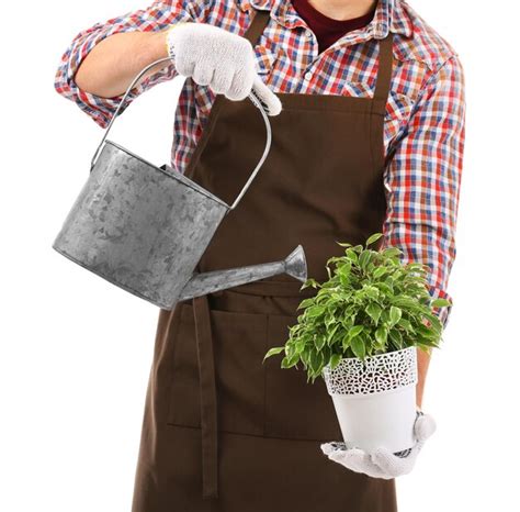 Florista Masculino Regando Planta De Casa Em Fundo Branco Foto Premium