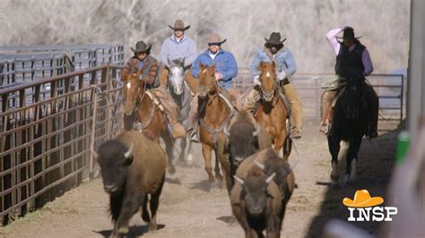 INSPs Ultimate Cowboy Showdown Rustles Up Fourth Season Renewal