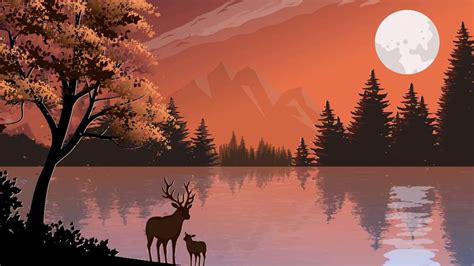 Baby Deer Wallpaper