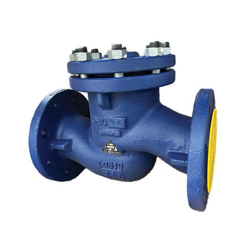 Cast Steel Lift Check Valve Flanged PN25 40 Leengate Valves