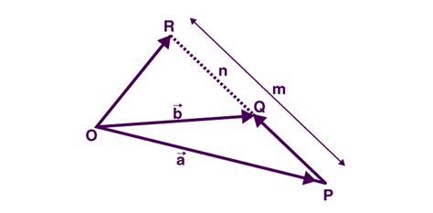 Section Formula In Vector Algebra Detailed Explanation With Examples