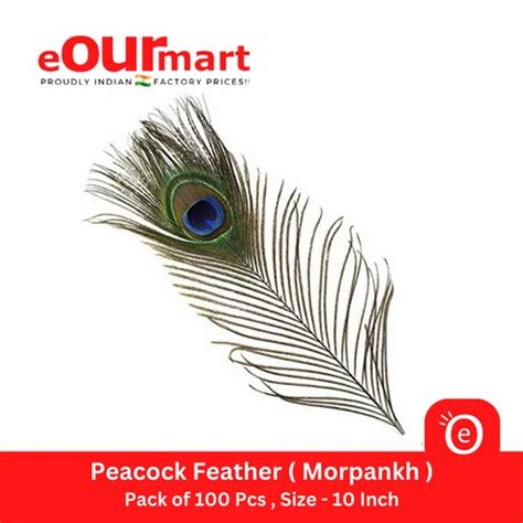 Natural Peacock Feather 10 Inch Mor Pankh Real Peacock Feather Tails For Home Decor Full