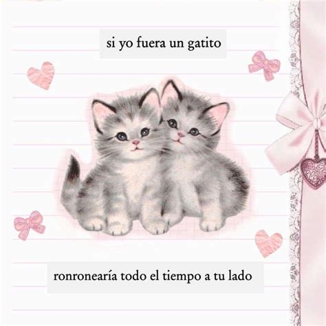 Pin De Swnoo En Xd Frases Ilustracion Textos Bonitos Frases Pintadas