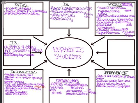 Nursing Concept Map For Heart Failure Hot Sex Picture