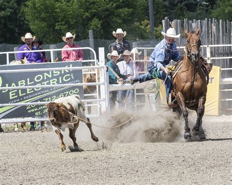 Tie-Down Roping - Manitoba Stampede