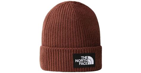 NF0A3FJX LOGO BOX 6S2 DARK OAK Chapeau The North Face En Coloris Marron