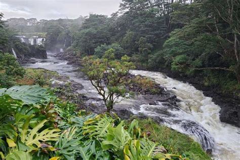 Hilo Volcanoes National Park And Hilo Private Tour Getyourguide