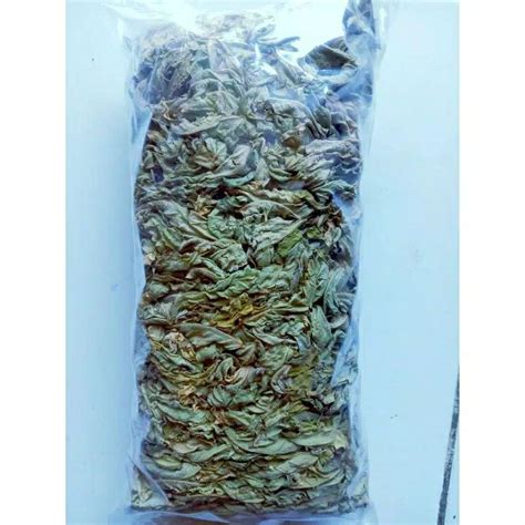 Jual DAUN BELIMBING WULUH KERING TEH BELIMBING 200GRAM Shopee Indonesia