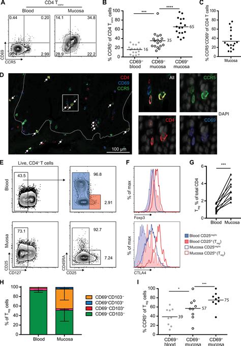 The Human Tissue Resident Ccr5 T Cell Compartment Maintains Protective