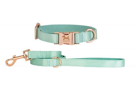 Ace Designer Dog Collar And Lead Set In Rose Gold By ™ In