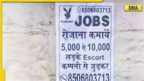 Viral Posters Of Playboy Jobs Surface Across Uttarakhands Kotdwar