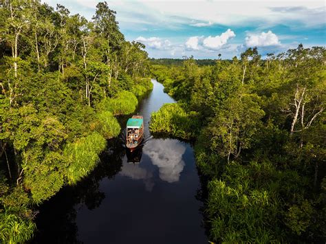 Your Trip To Borneo The Complete Guide