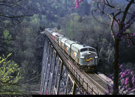 The Red Bud Is Blooming In This Portrait Of A Northbound NRHS Special