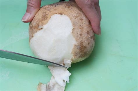 How To Cook Jicama Leaftv