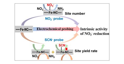 Electrochemical Probing The Site Reactivity In Iron Single Atom