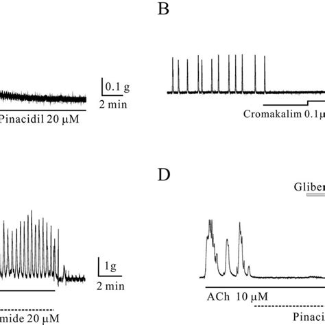 Isometric Contraction Of Circular Smooth Muscle Of Human Gastric Smooth