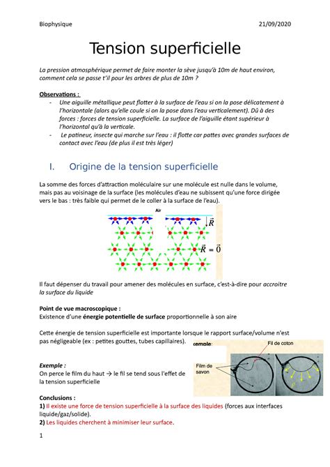 Tension Superficielle D Des Forces Forces De Tension