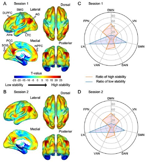 Profile Of Intrinsic Functional Stability Across The Brain Ab