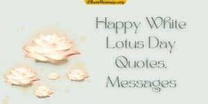 Happy White Lotus Day Quotes, Messages & Captions Instagram