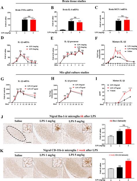 Peripheral Lps Dose Dependently Increases Brain Mature Il Production