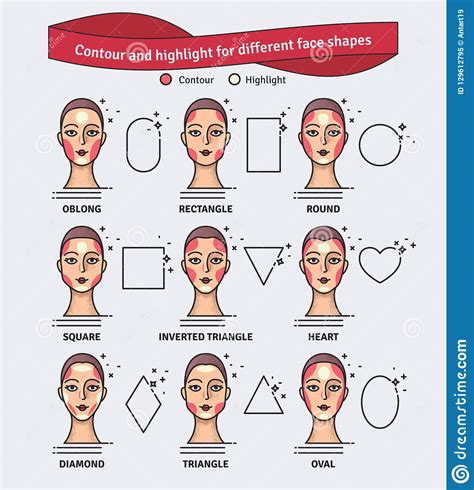 Set 2 Contouring And Highlight Makeup Guide Vector Set Of Different