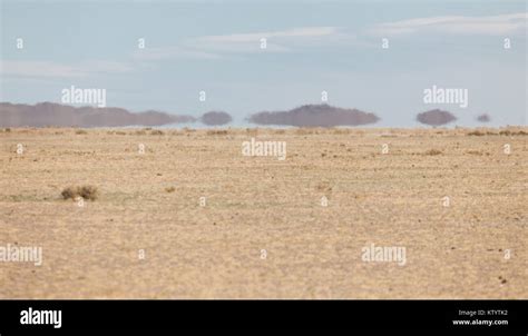 Typical steppe landscape in Mongolia Stock Photo - Alamy