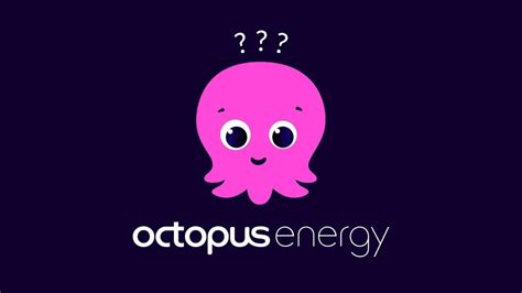 Fixed Or Flexible Choosing The Right Octopus Energy Tariff For You