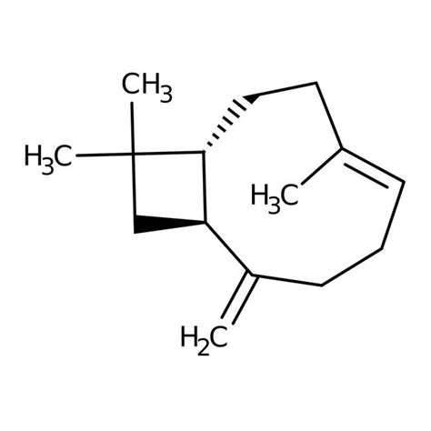 Beta Caryophyllene 90 0 TCI America Quantity 25 ML Fisher Scientific