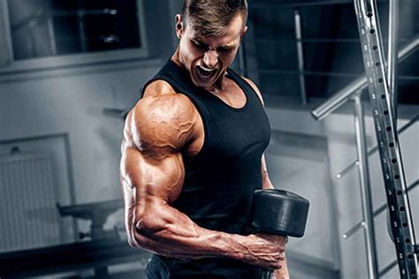 What Are The Best Biceps Exercise How To Get Biceps Biceps Exercises