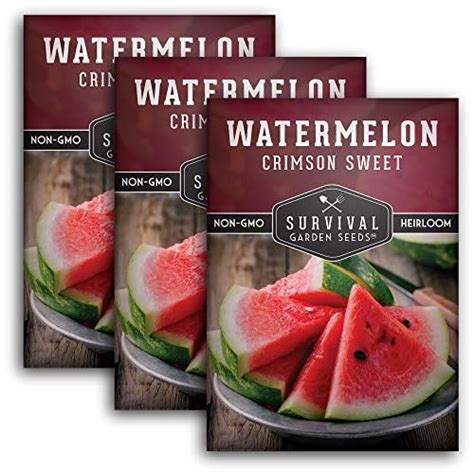 Crimson Sweet Watermelon Seed Sweet Watermelon Watermelon