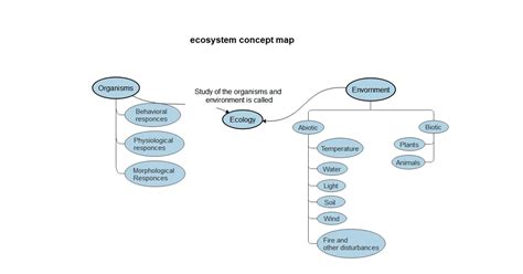 Ecosystem Concept Map Images