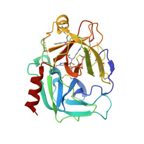 Gene P Protein Klk Overview Cansar Ai