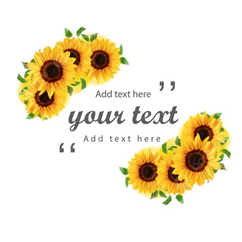 A Frame Of Sunflowers Sunflower Seeds Sunflower Oil Flower Food Png And Vector With