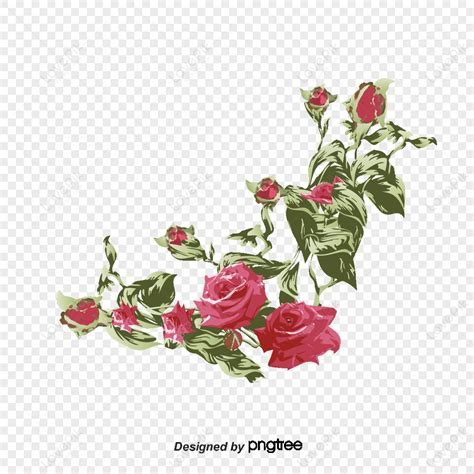 Clipart Rose Border Frame Free Infoupdate Org