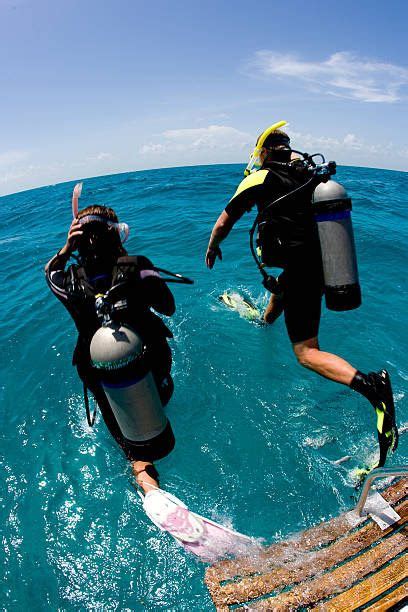 Pin tillagd av kay Simpli kay på scuba diving manifestation dream i