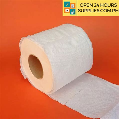 Bathroom Tissue Femme Plain Decor Solo Rolls 300 Sheets 2 Ply Supplies 24 7 Delivery