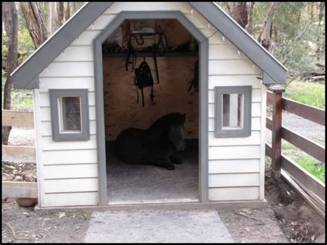 Mini horse barn. | Mini horse barn, Mini horse, Miniature horse barn