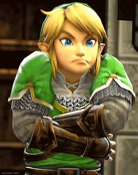 Link Legend Of Zelda GIF - Link LegendOfZelda HyruleWarriors - Discover & Share GIFs