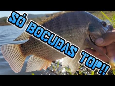 Pescaria Amigos Rendeu Muito Peixe YouTube