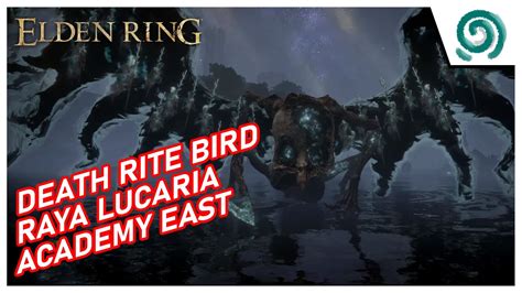 Elden Ring - Death Rite Bird | Raya Lucaria Academy East - YouTube