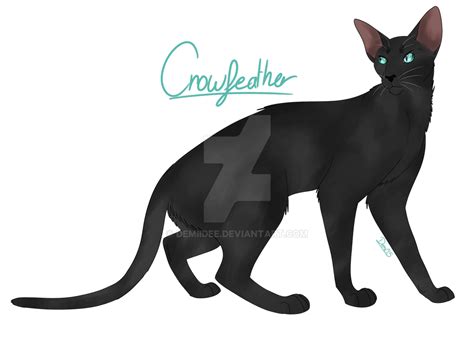 Warriors Crowfeather By Demiidee On Deviantart