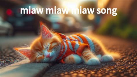 Cat Story Miaw Miaw Miaw Miaw Song Sad Youtube