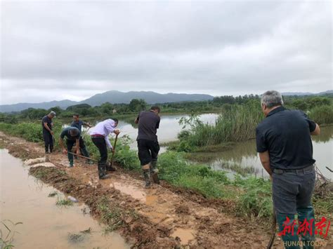 汛情直击⑲｜华容东山筑牢“红色堤坝” 岳阳 新湖南