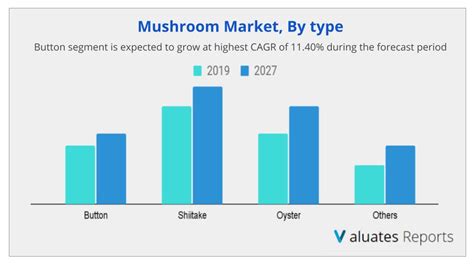 Mushroom Market Size Share Growth Industry Report Forecast