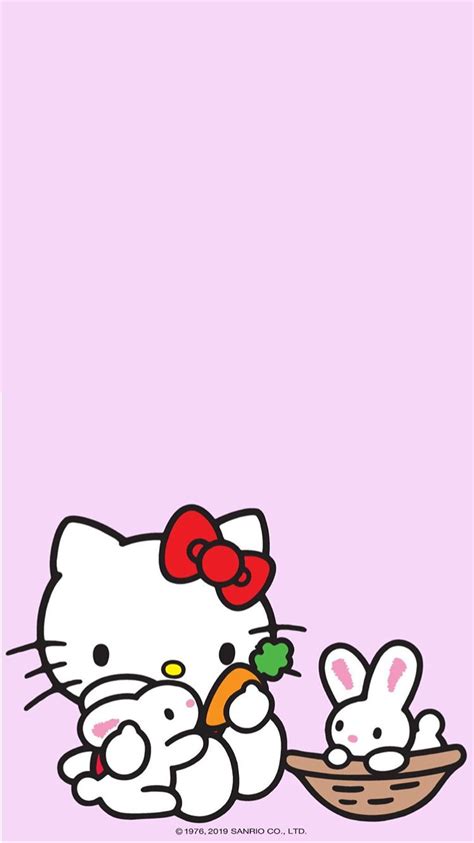 Hello Kitty Rabbit Name