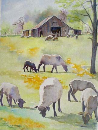 Sheep Paintings Sheep Art Watercolor Barns