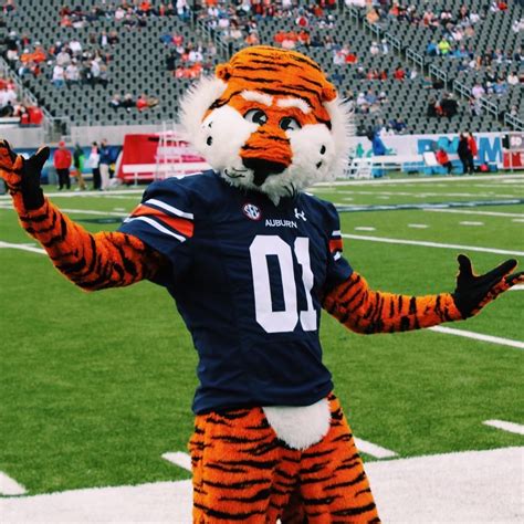 Ranking All 68 March Madness Mascots – Neirad