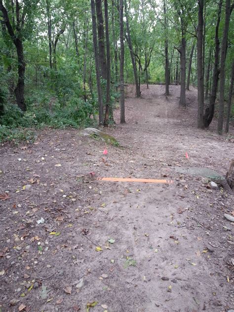 Hole 17 • Holly Woods (Holly, MI) | Disc Golf Courses | Disc Golf Scene