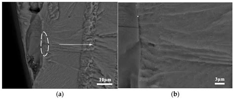 Materials Free Full Text Fatigue Characteristics Of 7050 T7451