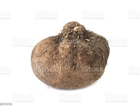 Dioscorea Alata Or Yam On White Background Stock Photo Download Image